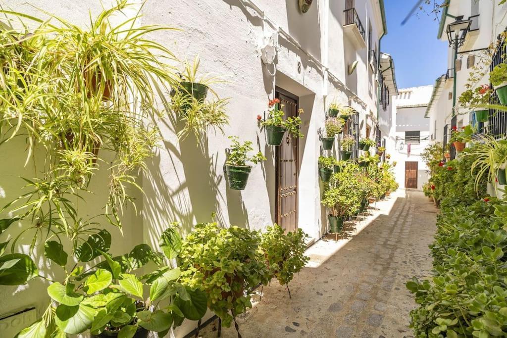 Casa Con Patio Y Terraza En Barrio Historico De La Villa, Junto Al Adarve Priego de Córdoba Exterior foto